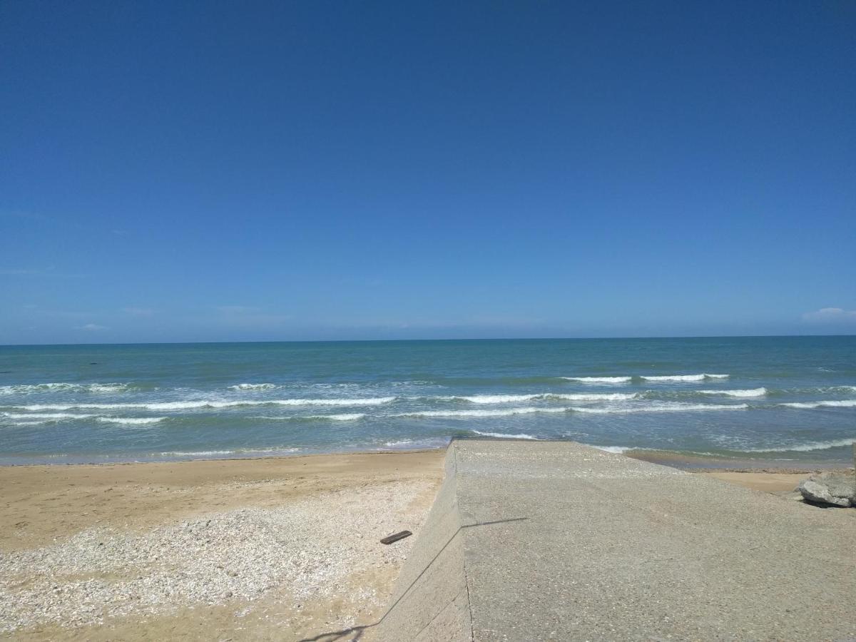 "Le Cocon D'Estelle" Grand Studio Vue Mer, 30M De La Plage Villers-sur-Mer Esterno foto
